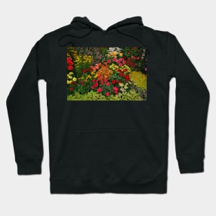 Pride of the County Hoodie